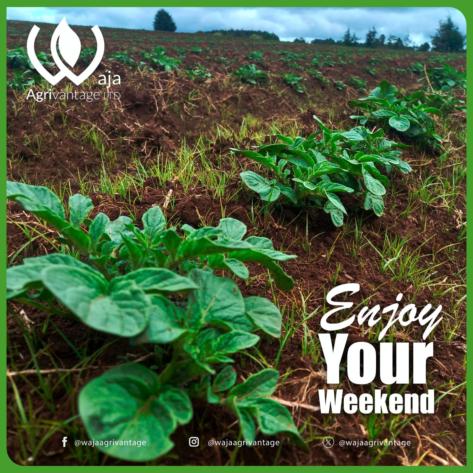 About Waja Agrivantage